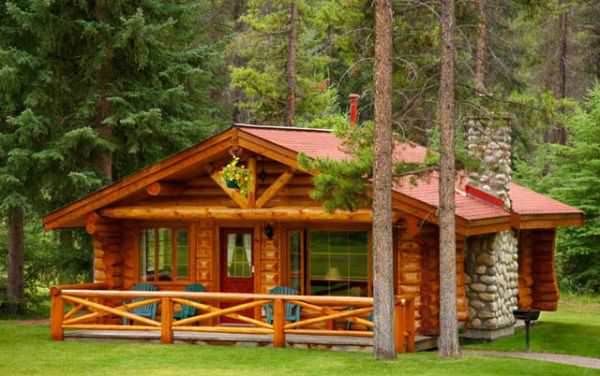 Из какого дерева лучше строить баню: обзор самых популярных пород – всё о банях