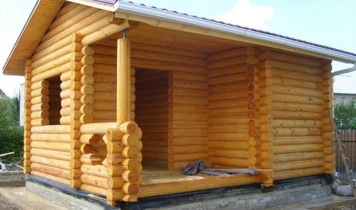 Из какого дерева лучше строить баню: обзор самых популярных пород – всё о банях