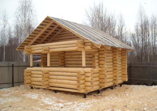 Из какого дерева лучше строить баню: обзор самых популярных пород – всё о банях