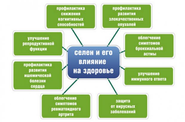 Избыток селена в организме симптомы