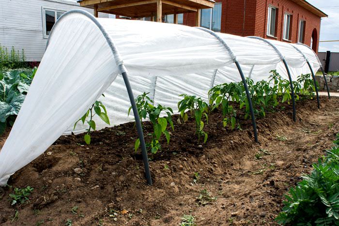 Изготовление парников из дуг с укрывным материалом