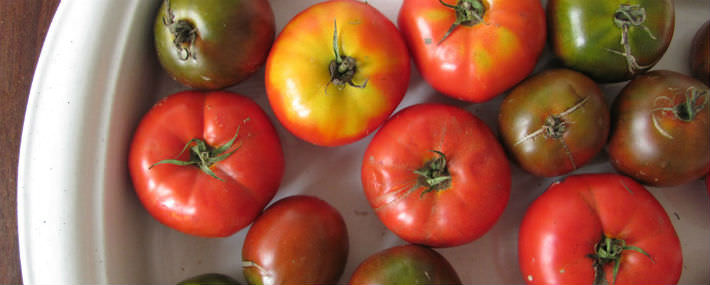 Яблок-помидор: плод селекционеров или миф?