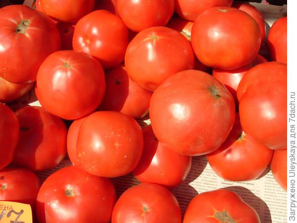 Яблок-помидор: плод селекционеров или миф?