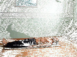 Йога при варикозе: комплекс упражнений, асаны