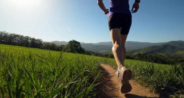 К чему снится погоня: толкование разных сонников