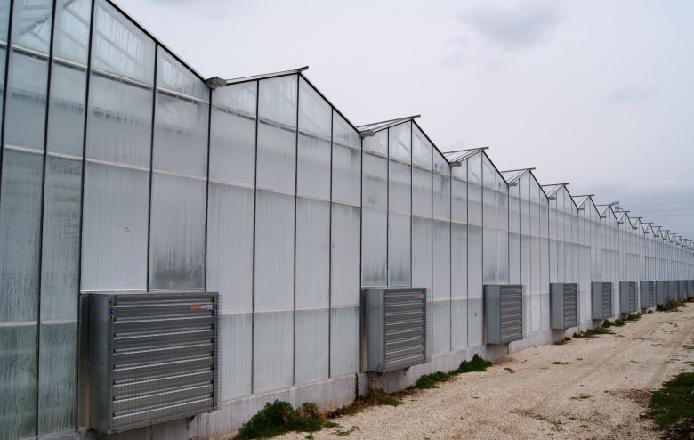 Как бороться с образованием конденсата в теплице?