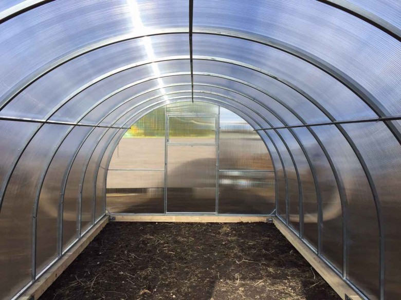 Как бороться с образованием конденсата в теплице?