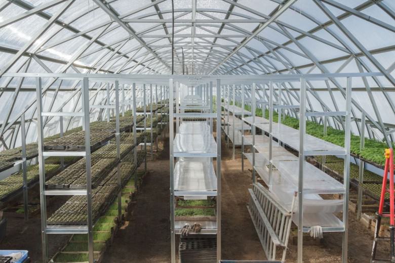 Как бороться с образованием конденсата в теплице?