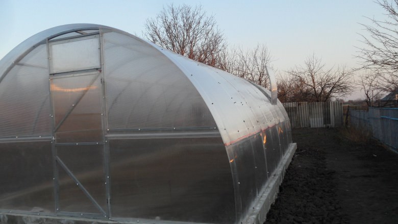 Как бороться с образованием конденсата в теплице?