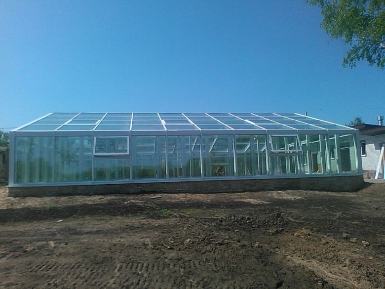 Как бороться с образованием конденсата в теплице?