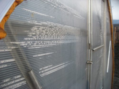 Как бороться с образованием конденсата в теплице?