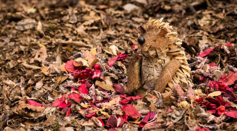 Как делать посадки под зиму?