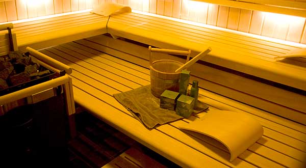 Как избавиться от муравьёв в бане – всё о банях