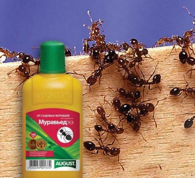 Как избавиться от удушающего запаха при растопке печки? – всё о банях