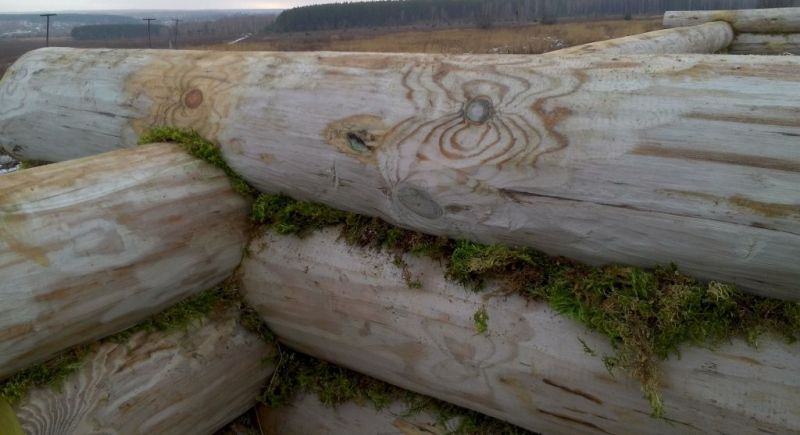 Как конопатить сруб – мхом, паклей, лентой и герметиками – всё о банях