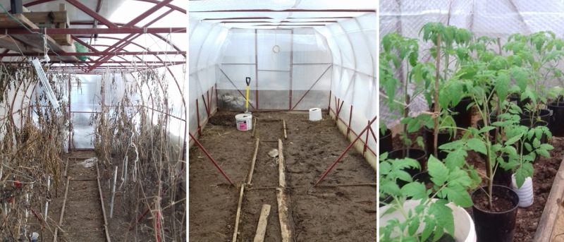 Как можно утеплить теплицу из поликарбоната?