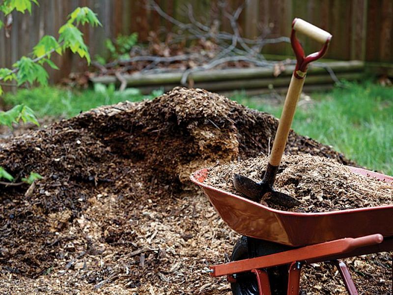 Как нужно правильно мульчировать почву?