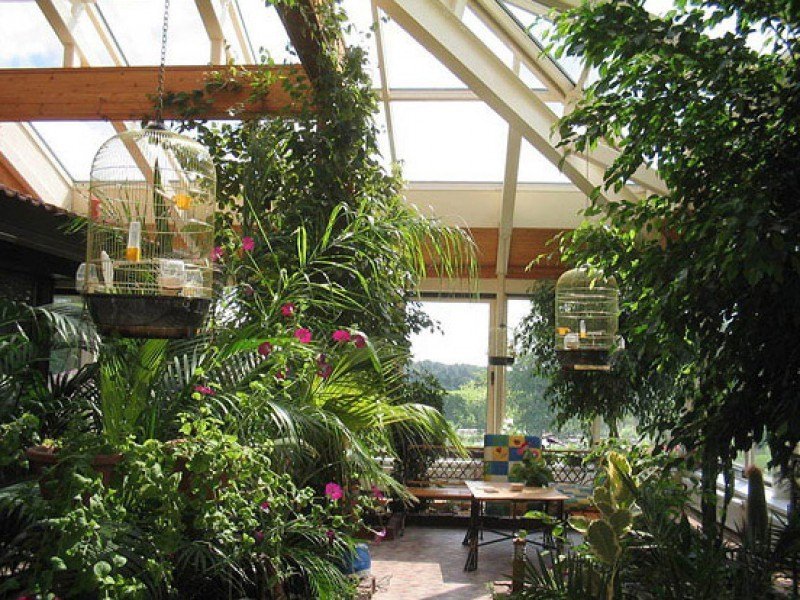 Как обустроить домашнюю оранжерею?