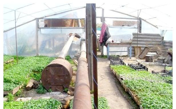 Как организовать отопление теплицы дровами?