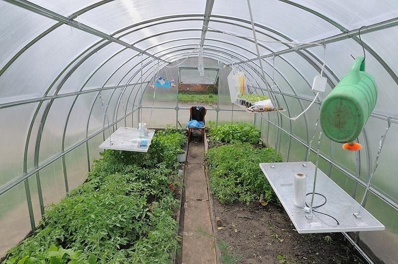 Как осуществляется обустройство теплицы из поликарбоната внутри