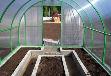 Как подготовить и чем обработать землю в теплице под томаты весной?