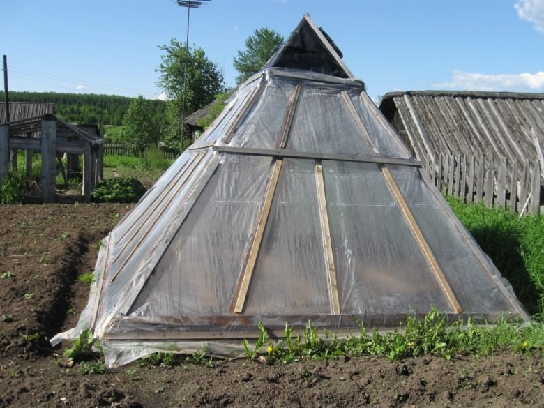 Как построить тепличные пирамиды на огороде своими руками