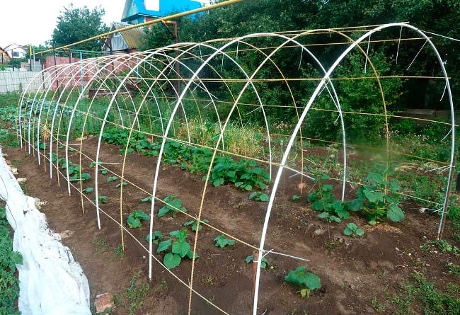 Как построить теплицу из арматуры