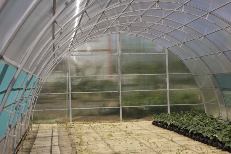 Как построить теплицу из арматуры