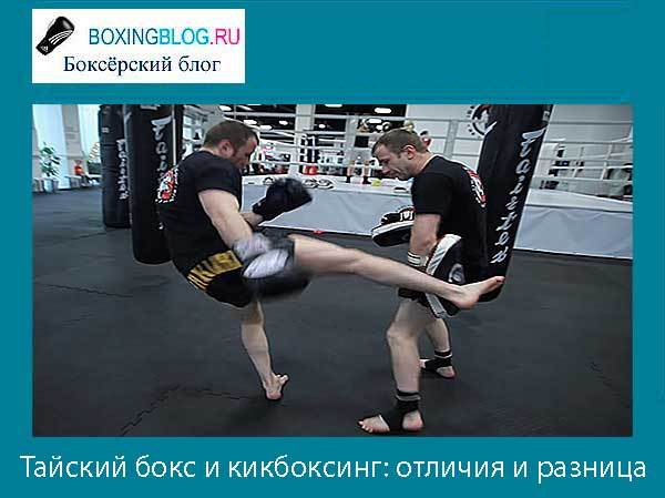 Как правильно бить Лоу Кик: техника, Low-kick, защита в тайском боксе