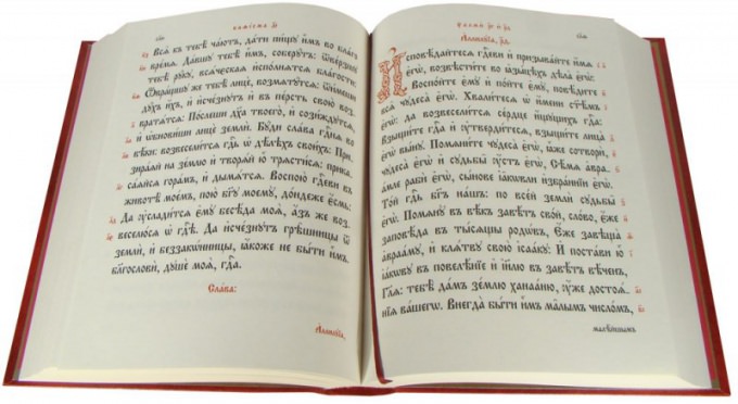 Как правильно читать дома псалтырь — советы начинающим от священника