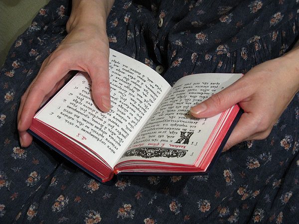 Как правильно читать Псалтырь дома — что представляет из себя книга, схема её чтения