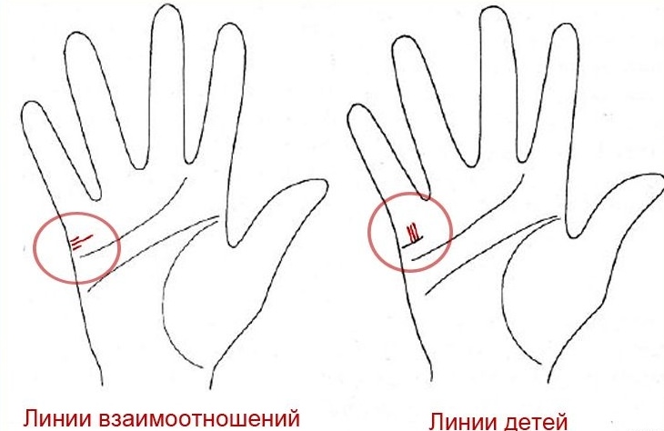 Как правильно гадать по руке на количество детей в будущем