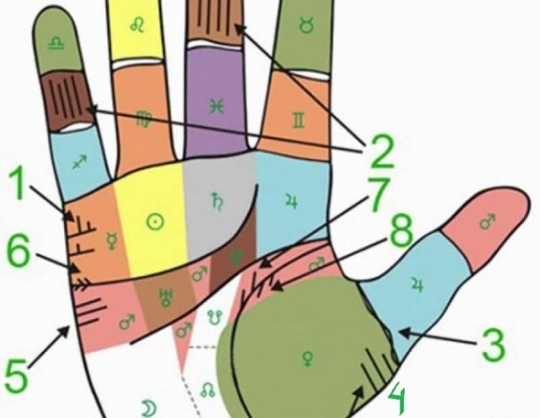 Как правильно гадать по руке на количество детей в будущем