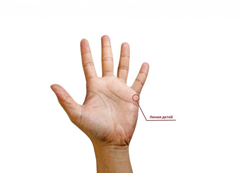 Как правильно гадать по руке на количество детей в будущем