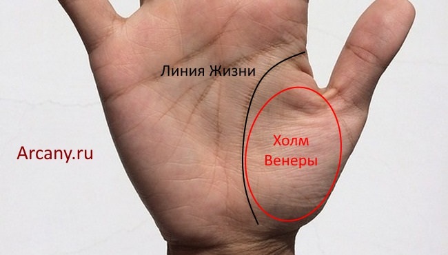 Как правильно гадать по руке на количество детей в будущем