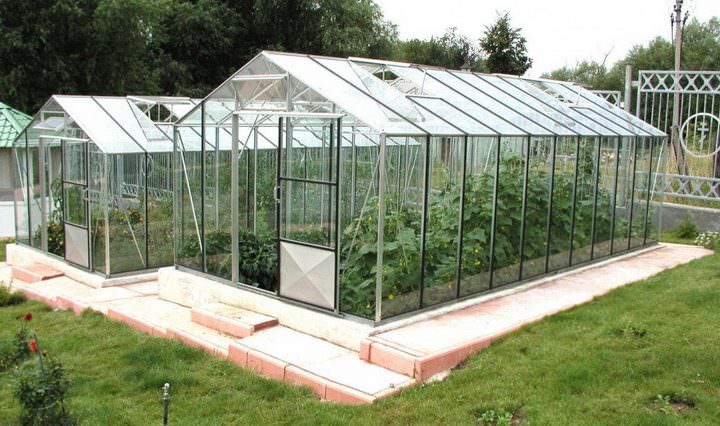 Как правильно рассчитать теплицу для приусадебного участка?