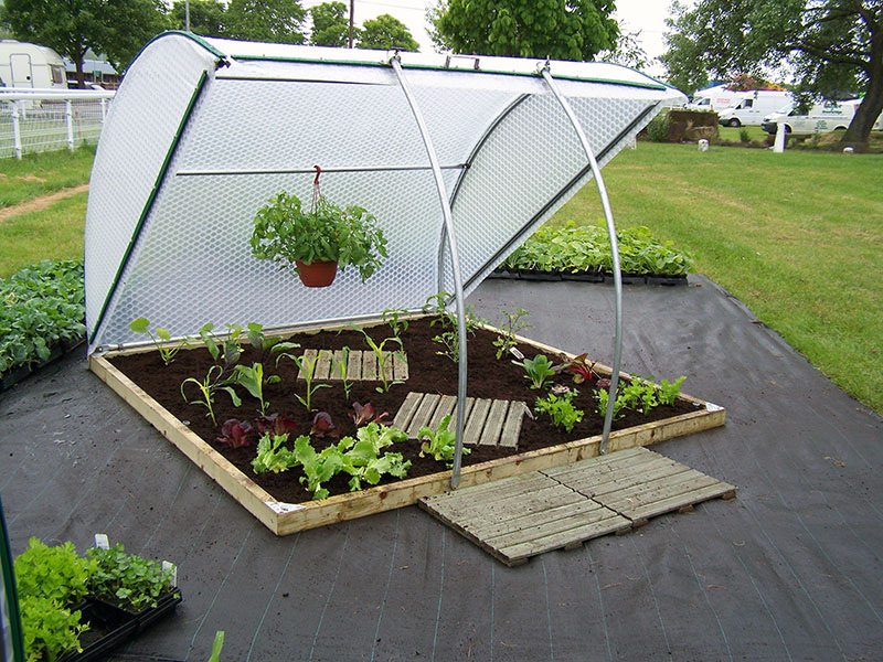 Как правильно рассчитать теплицу для приусадебного участка?