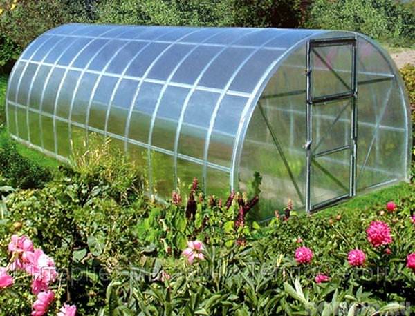 Как правильно рассчитать теплицу для приусадебного участка?