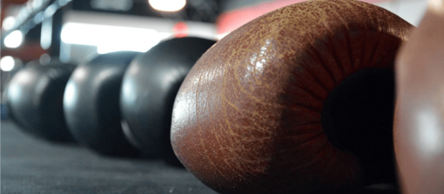 Как правильно выбрать боксерские перчатки для любителей или профессионалов?