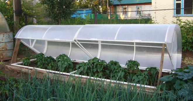 Как правильно выбрать и использовать парник типа «хлебница»: из поликарбоната?