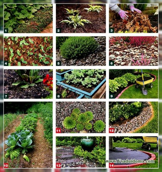 Как правильно выбрать мульчу для огурцов?