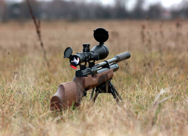 Как правильно выбрать пневматическую винтовку для охоты