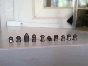 Как правильно выбрать пневматическую винтовку для охоты