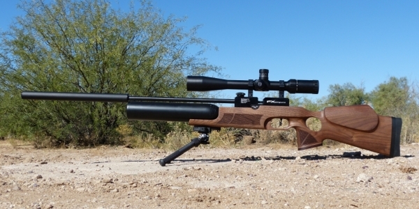 Как правильно выбрать пневматическую винтовку для охоты