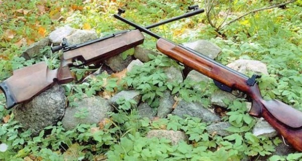 Как правильно выбрать пневматическую винтовку для охоты