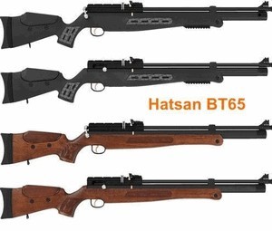 Как правильно выбрать пневматическую винтовку для охоты