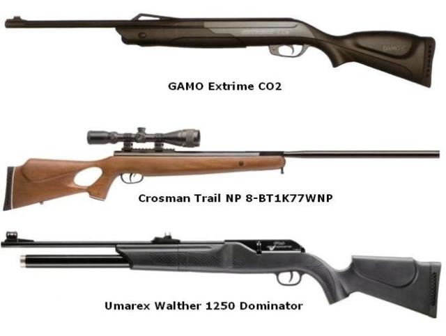 Как правильно выбрать пневматическую винтовку для охоты