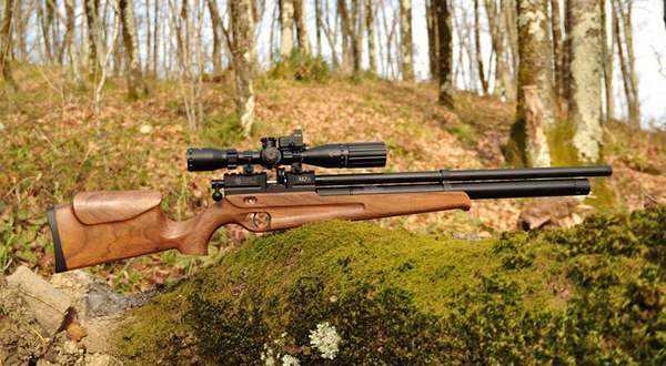 Как правильно выбрать пневматическую винтовку для охоты