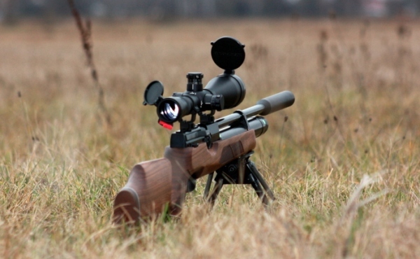 Как правильно выбрать пневматическую винтовку для охоты