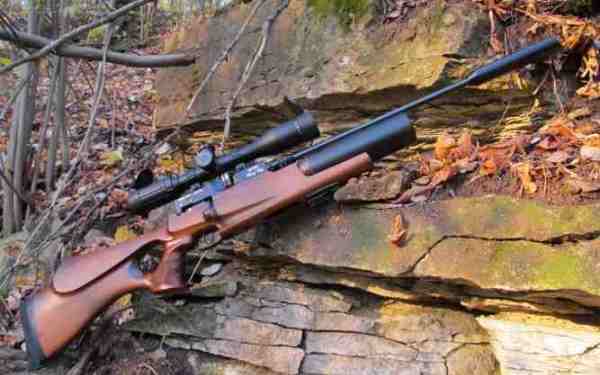 Как правильно выбрать пневматическую винтовку для охоты